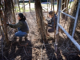 Patrick Dougherty Sculpture Volunteers Working