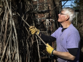 Patrick Dougherty working on the Sculpture