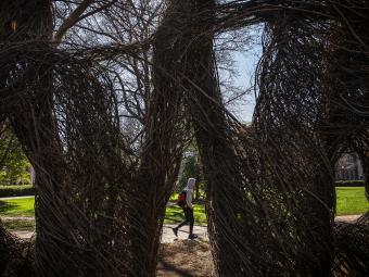 Someone walking past the Patrick Dougherty Sculpture