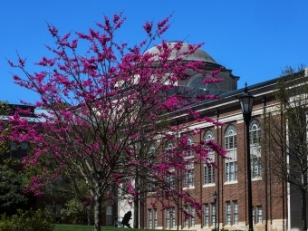 Chambers in the spring with tree blossoming