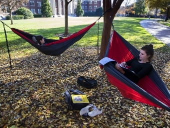 Two students in hammocks on the lawn
