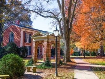 The Well in the Fall
