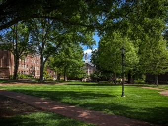 Davidson College Campus Beauty Featuring Trees and Brick Buildings