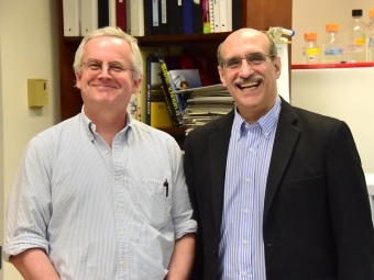 Malcolm Campbell and Martin Chalfi