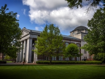 Chambers through the Trees