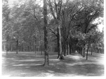 Historic Aerials of Campus