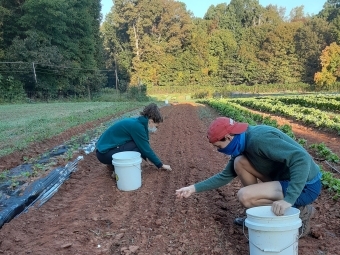 two students planting in Davidson Farm 