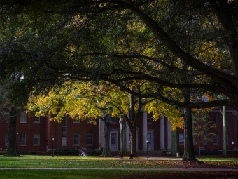 Campus in the fall