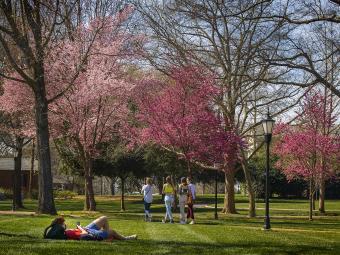 Blooming Trees and Students Lounging and Walking on Lawn