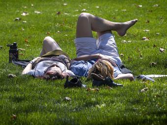 Students Lay Together on Grass