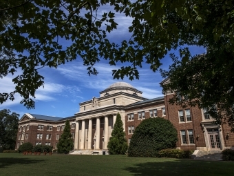 Tree cowers over Chambers building