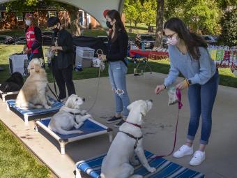 Service dogs training with students