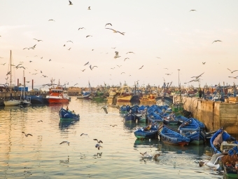 Matt Stirn - Port of Essaouira Morocco