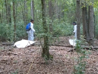 Davidson College Student researchers in Prof. Kevin Smith's class investigating ticks in North Carolina