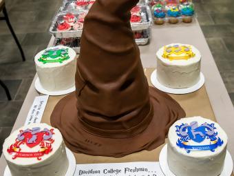 Harry Potter Themed Cakes from the Cake Race