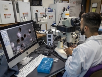 Looking in a microscope in a lab at a computer