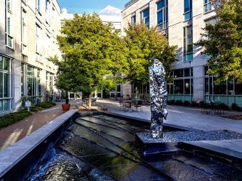Zhan Wang, Artificial Rock No. 119, a chrome rock against the backdrop of a water feature and Davidson academic building