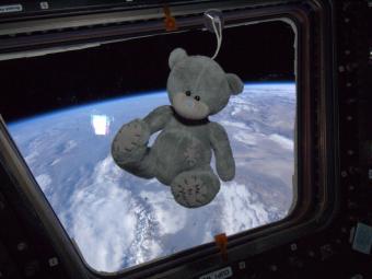 Stuffed Blue Teddy Bear in Space Shuttle with Earth in Background