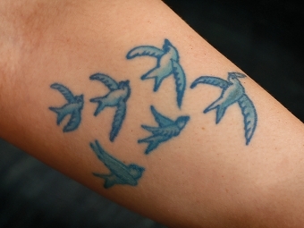 Blue Swallow Tattoos on Forearm