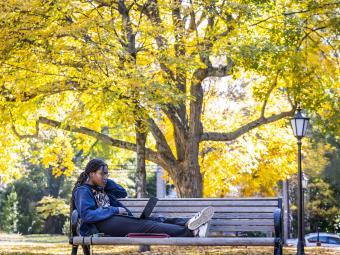 Student on Bench Studying on Laptop Computer Surrounded by Fall Foliage