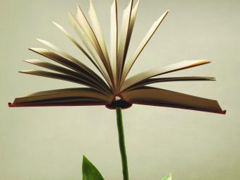 Conceptual image of a book as a flower in bloom