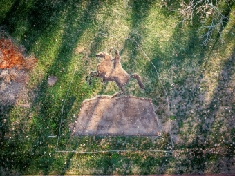 Outline of Jackson Statue in bird's eye view