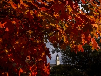 Autumnal tree with chapel in the distance