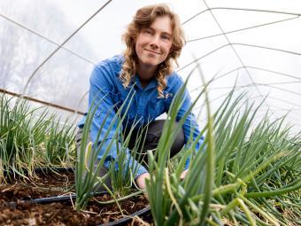 Halle Murphy, Farm Manager harvesting green onions in a blue shirt