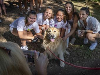 Sully the Dog joins students at the 2022 Cake Race