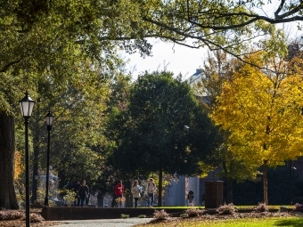 foliage during fall on campus