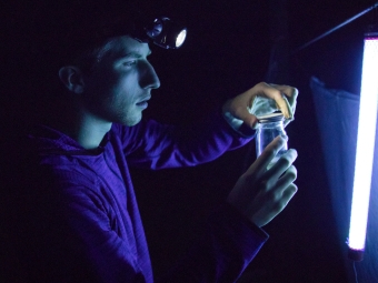 Kyhl Austin Catches Moths
