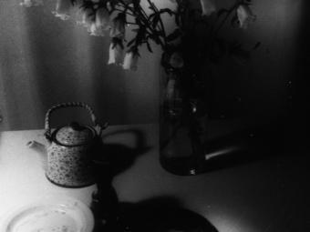 Photography by Begalla: shadowy still life with flowers and tea set