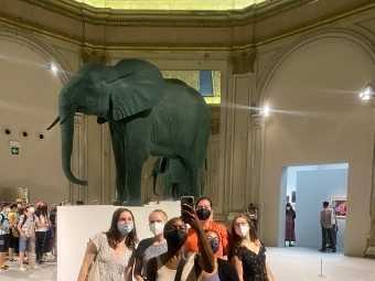 Students at Venice Biennale