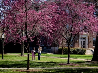 Two students taking pictures of redbud trees