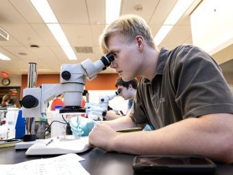 Student at microscope researching
