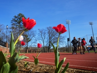 Students running on Irwin Track at Richardson Stadium