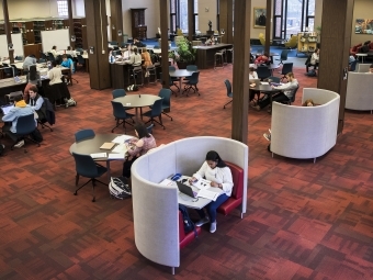 Students Studying in EH Little Library