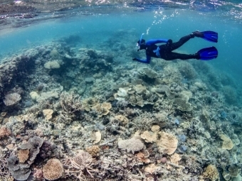 Virginia Gilliland ’22 scuba diving