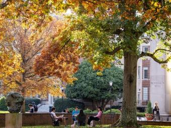 Fall foliage on campus while students sit outside and talk to each other