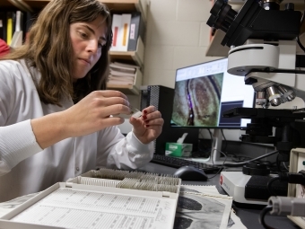 Neuroscience Student in Lab