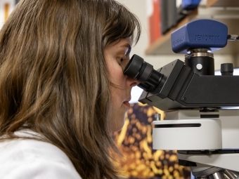 Student does research in neuroscience lab