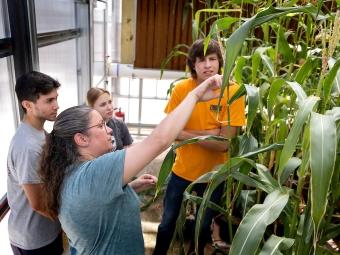 Prof. Susana Wadgymar instructing students in greenhouse
