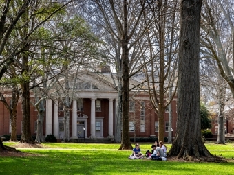 students study under tree on green grass in front of academic building