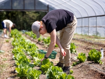 Student Working on Farm