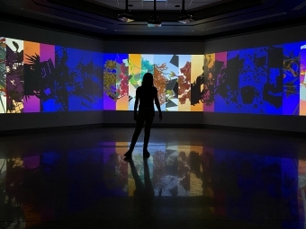 a silhouette stands in front of an art exhibit of colorful images and plants