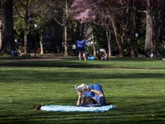 a young woman reads a book while laying on a blanket on a grassy lawn