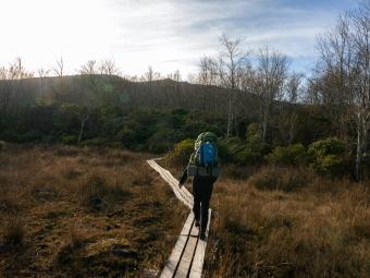 a hiker with a backpack on walks along a wooden elevated trail