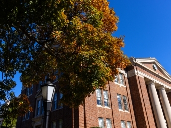 a brick building with columns surrounded by fall foliage on a blue skies day