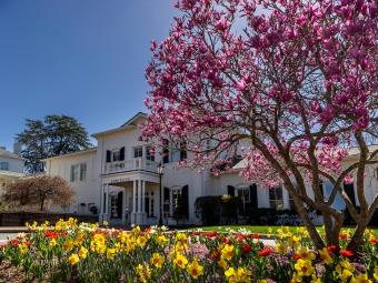 Admission Building in the spring with blooming flowers and trees