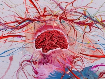 an abstract piece of art with colorful squiggles and a brain in the middle